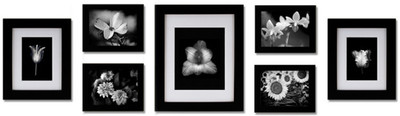 

Swadesi Stuff MDF Photo Frame(Black, 7 Photos)