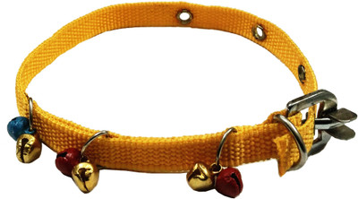 

Sollar's Dog Everyday Collar(, Yellow