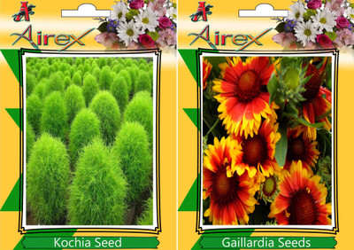 

Airex Kochia, Gaillardia Seed(20 per packet)