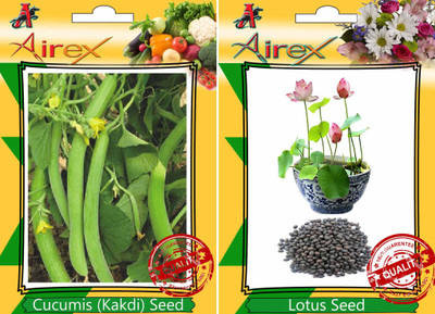 

Airex Cucumis (Kakdi), Lotus Seed(20 per packet)