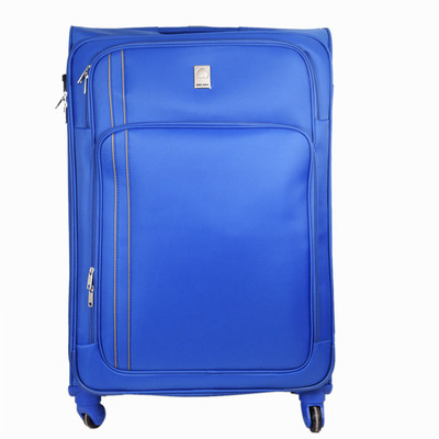 

Delsey Alpine Check-in Luggage -  inch(Blue