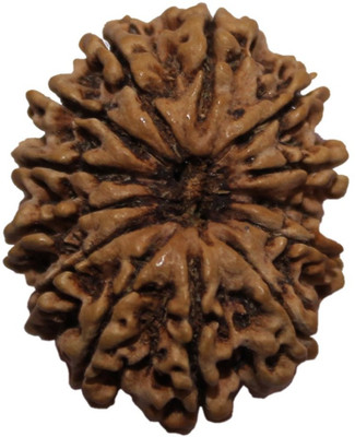 

ByCue Certified 12 Mukhi Nepal Rudraksha Wooden Yantra(Pack of 1)