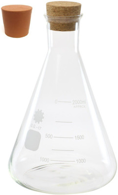

BFC Erlenmeyer Flask(500 ml, Pack of 1)
