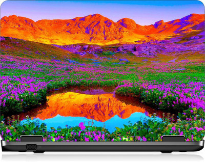 

Box 18 LP2413 Vinyl Laptop Decal 15.6