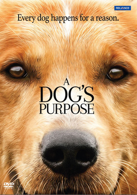 

A Dog's Purpose(DVD English)