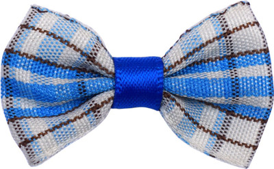 

XPO Bow for Dog, Cat(Blue, Grey)