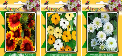Airex Gaillardia, Thunbergia, White Zinnia Seed(15 per packet)