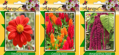 

Airex Tithonia, Celosia, Amaranthus Seed(25 per packet)