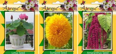 Airex Lotus, Sungold, Amaranthus Seed(15 per packet)