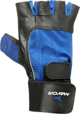 Mayor Hamilton Gym & Fitness Gloves (L, Blue) Flipkart