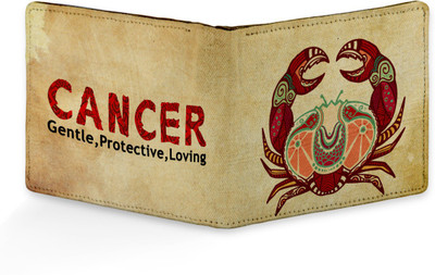 

Radhika Store Men Multicolor Artificial Leather Wallet(5 Card Slots), Tan-01