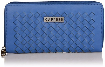 

Caprese Casual Blue Clutch