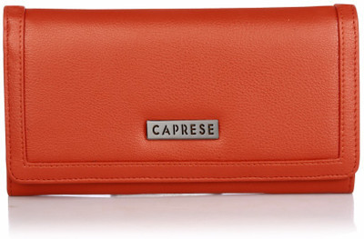 

Caprese Casual Brown Clutch
