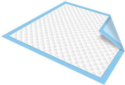 

HealthTrack Disposable Underpad Adult Diapers - L(10 Pieces)