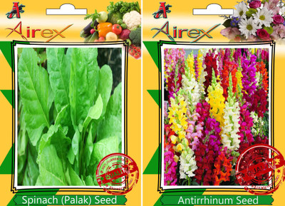 Airex Spinach, Antirrhinum Seed(25 per packet)