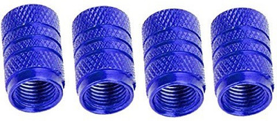 

Futaba Steel Tyre Valve Cap for Bike(Round)