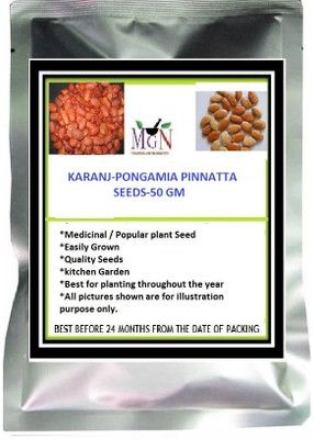 

MG Naturals KARANJ Seed(25 per packet)