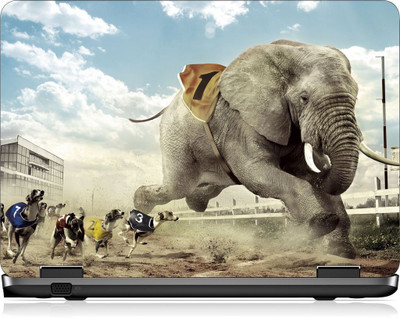 

Box 18 LP2564 Vinyl Laptop Decal 15.6