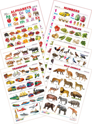 

Spectrum Kid's 1st Learning Charts [S] : Set 13 (English Alphabets, Numbers 1 to 10, Animals, Birds, Fruits, Vegetables, Transport & Wild Animals)(Multicolor)