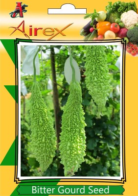 Airex Bitter Gourd Summer Vegetables Seed (pack of 3gm Seed*6 Pkts) 6 per packet Seed(6 per packet)