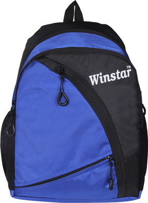 

Winstar Winstar Roman Backpack 15 L Laptop Backpack(Blue), Turquoise