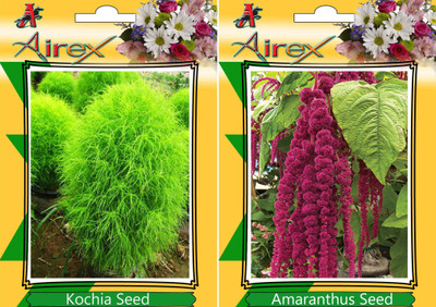 

Airex Kochia, Amaranthus Seed(25 per packet)