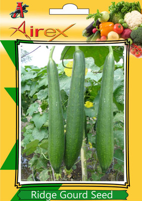

Airex Ridge Gourd Seed(80 per packet)