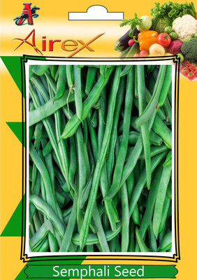 

Airex Semphali Summer Vegetables Seed (pack of 30 Seed*1 Pkts) Seed (1 Per Packet) Seed(30 per packet)