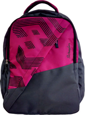 

Schuyler 1942 27 L Laptop Backpack(Multicolor), Muticolor