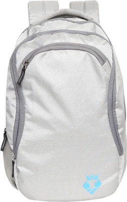 

Rudot RDB103GRY 25 L Backpack(Grey)