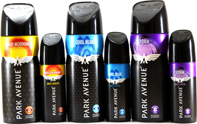 

Park Avenue Storm, Cool Blue & Good Morning Combo Pack Deodorant Spray - For Men(381 g, Pack of 6)