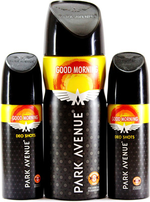 

Park Avenue Good Morning Combo Pack - 3 Pcs Deodorant Stick - For Men(154 g, Pack of 3)