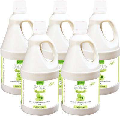 

Bhumija Lifesciences Amla Juice (Sugar Free) Energy Drink(5x1 L, Unflavoured Flavored)