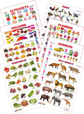 

Spectrum Kid's 1st Learning Charts [S] : Set 1 (English Alphabets, Birds, Colours, Flowers, Fruits, Numbers 1 to 10, Vegetables & Wild Animals)(Multicolor)