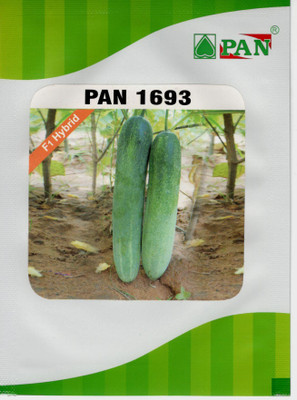 

PAN Cucumber Seeds Seed(420 per packet)