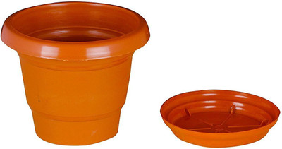 

Minerva Naturals Plant Container Set(Pack of 12, Plastic)