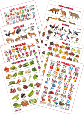 

Spectrum Kid's 1st Learning Charts [S] : Set 3 (English Alphabets, Hindi Varnamala, Birds, Flowers, Fruits, Vegetables, Domestic Animals & Wild Animals)(Multicolor)