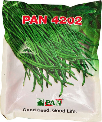 

PAN Cow Pea Seeds Seed(3250 per packet)