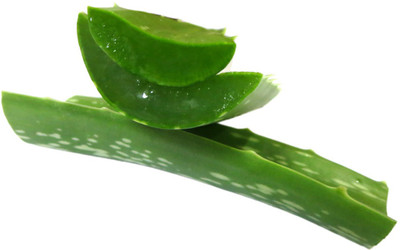 

DCS Raw And Natural Aloe Vera Leaves ( Fresh ) ( approx 400 grams )(400 g)