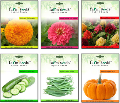 Farm Seeds Sunflower, Zinnia, Celosia, Cucumber, Beans, Pumpkin Seed(100 per packet)