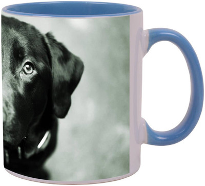 

Arkist black lab Ceramic Mug(340 ml), Multicolor