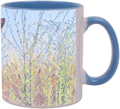 

Arkist coyote griffith park los angeles california wall Ceramic Mug(340 ml), Multicolor