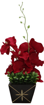 

Ace Flowers Maroon Orchids Artificial Flower with Pot(10.5 inch, Pack of 1)