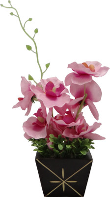 

Ace Flowers Pink, Multicolor Orchids Artificial Flower with Pot(10 inch, Pack of 1)