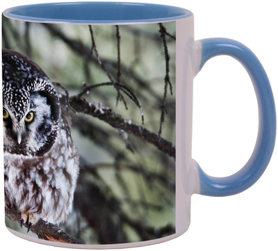 

Arkist boreal owl Ceramic Mug(340 ml), Multicolor