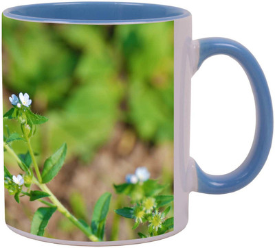 

Arkist tiny blue flowers Ceramic Mug(340 ml), Multicolor