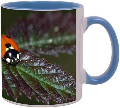 

Arkist real ladybug 2 Ceramic Mug(340 ml), Multicolor