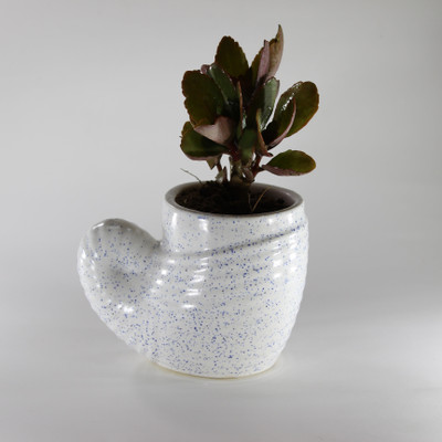 

PORT REGALO Plant Container(Ceramic, External Height - 10 cm), White