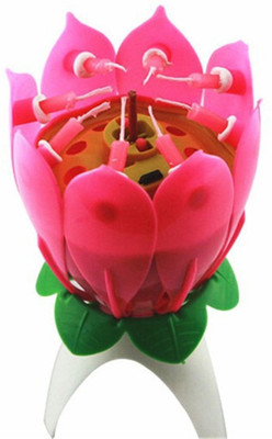 

Shop Online Musical Flower Birthday Party Candle(Multicolor, Pack of 1)