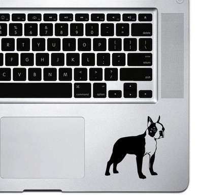 

Onlinemart Bost Vinyl Laptop Decal 15.6